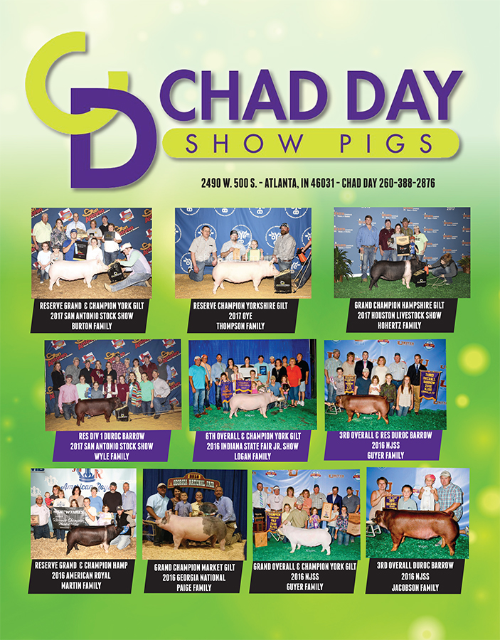 Chad Day Showpigs Flyer